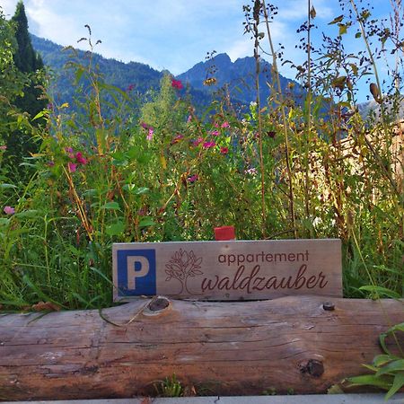 Appartement Waldzauber Medraz 外观 照片