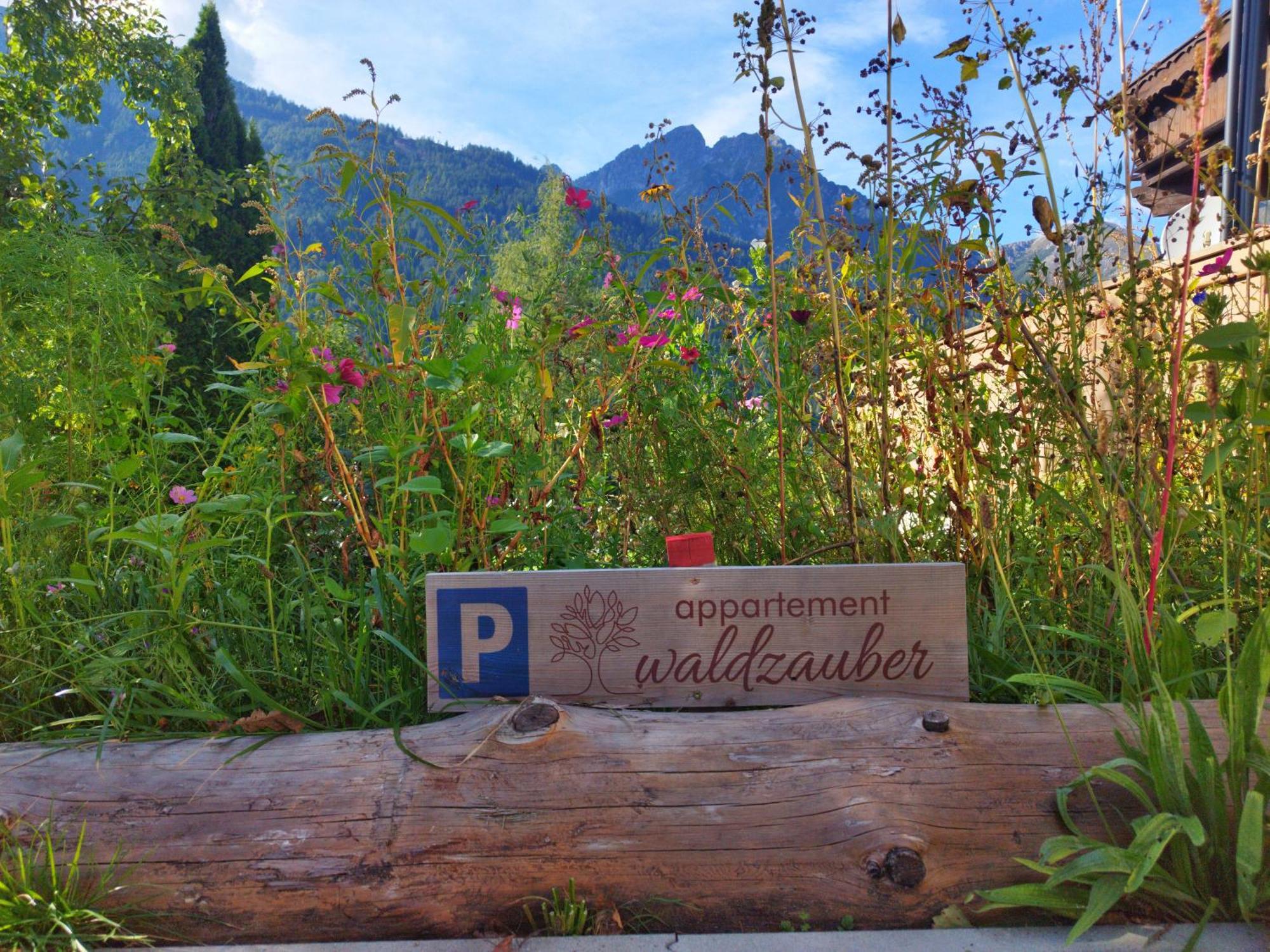 Appartement Waldzauber Medraz 外观 照片